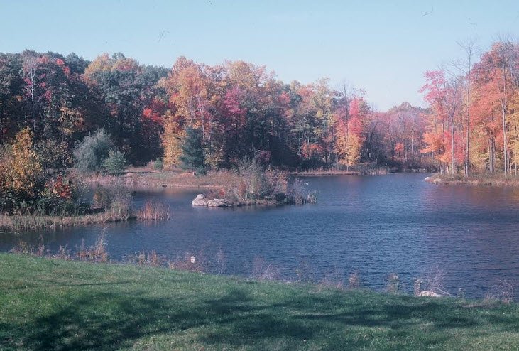 Highstead Arboretum, United States
